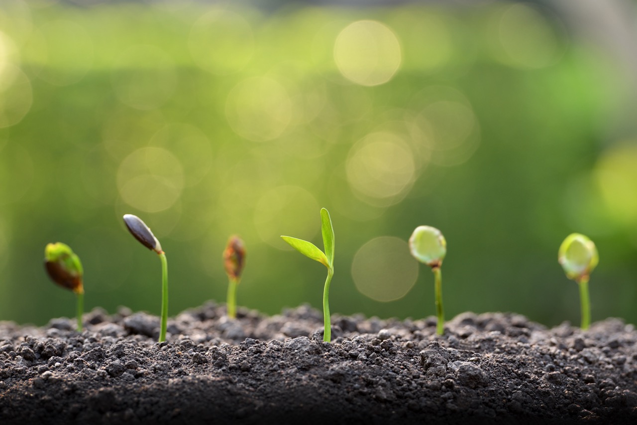 Progress Doesn’t Have to Look the Same